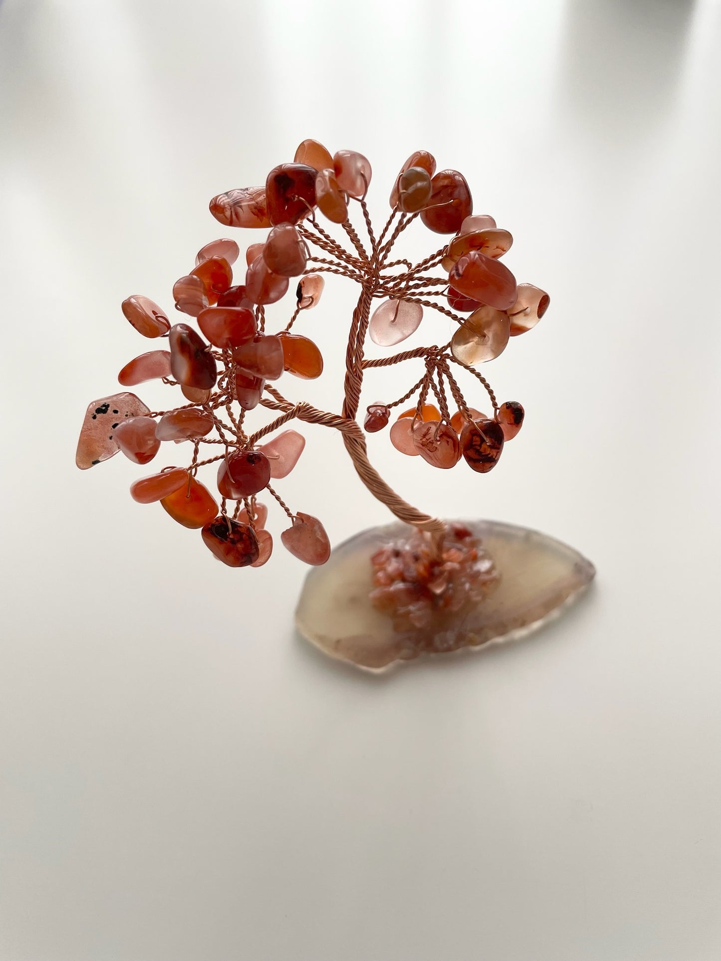 tree9