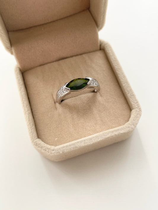 gemring21