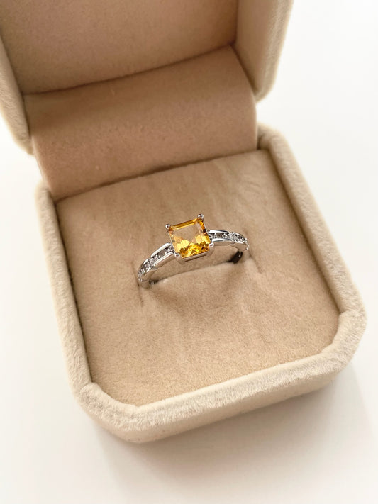 gemring13