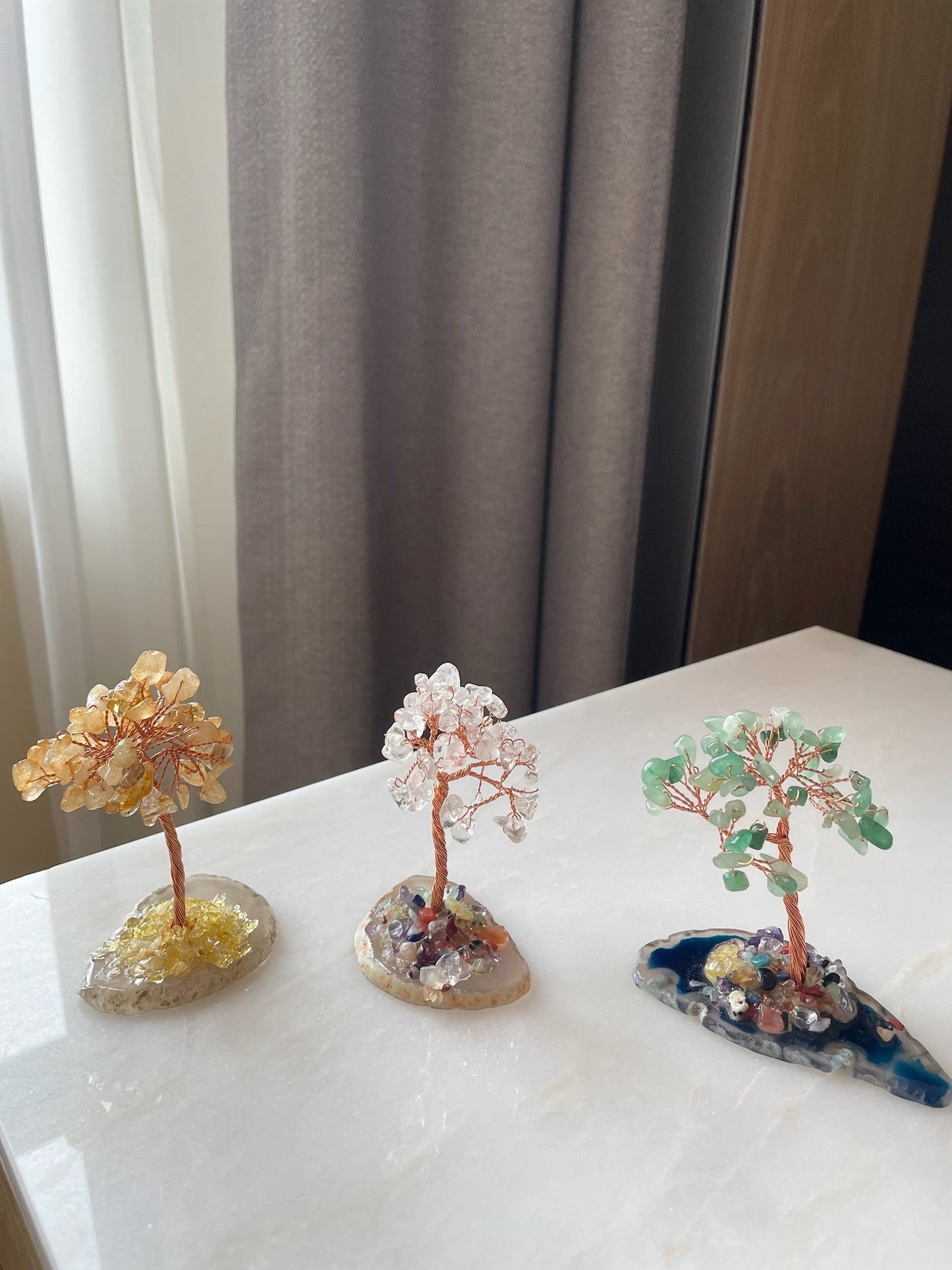 tree6