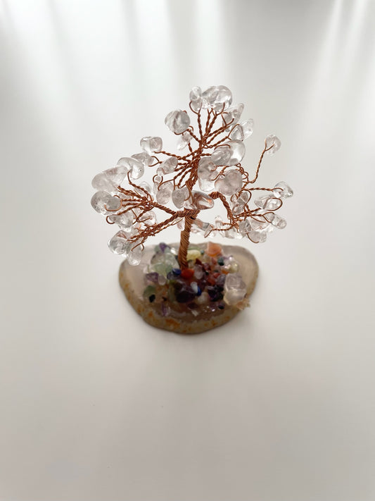 tree5