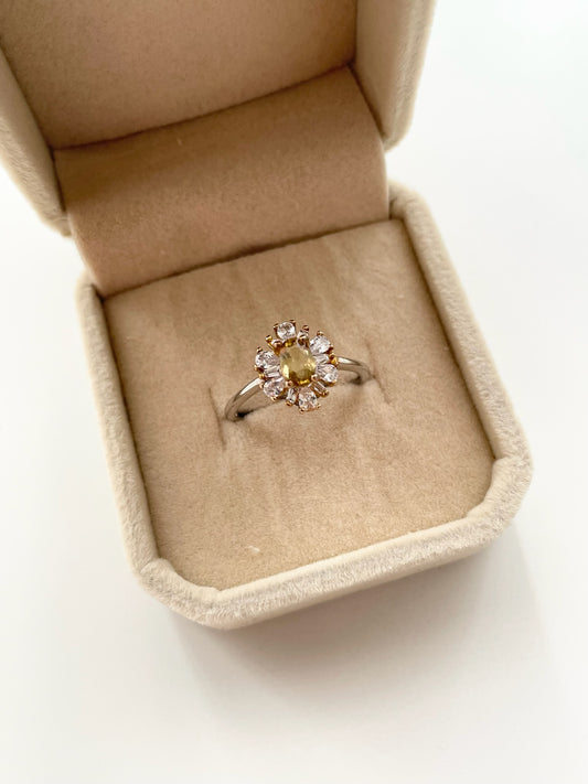 gemring17