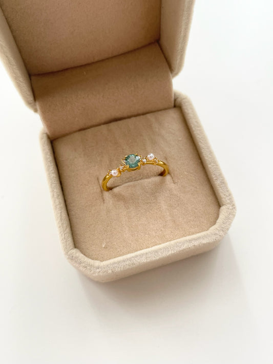 gemring19