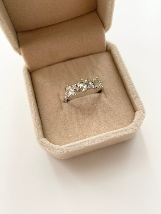 gemring18