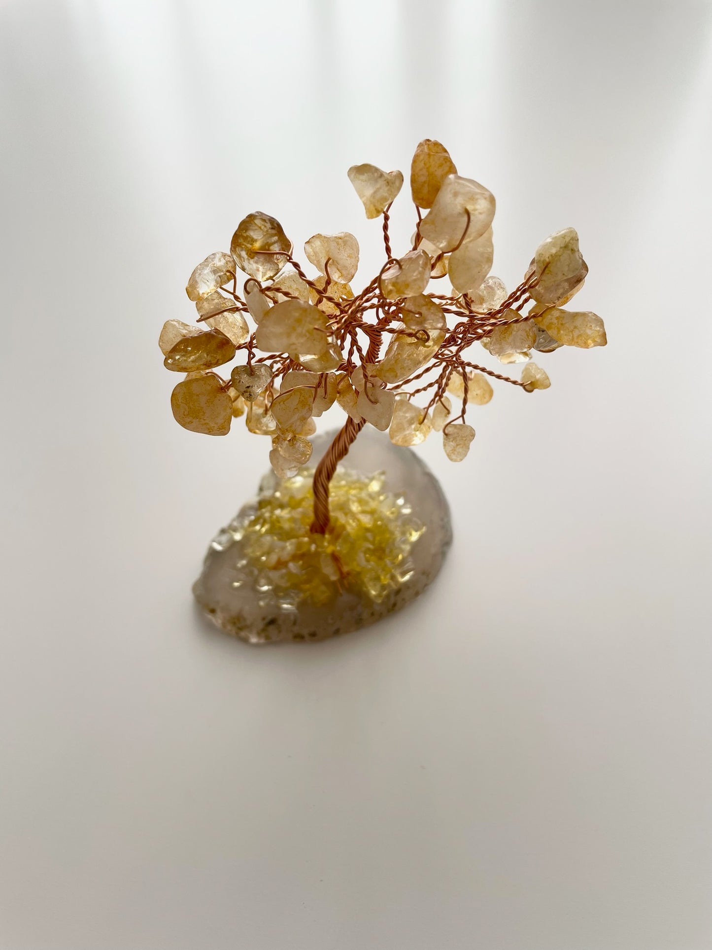 tree4
