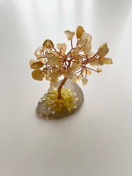 tree4