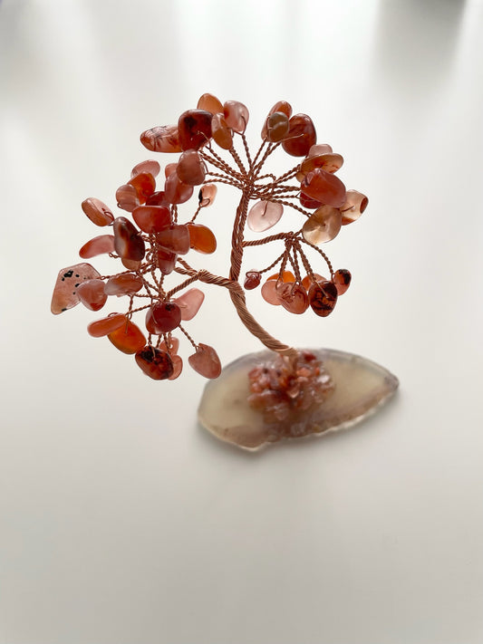 tree9