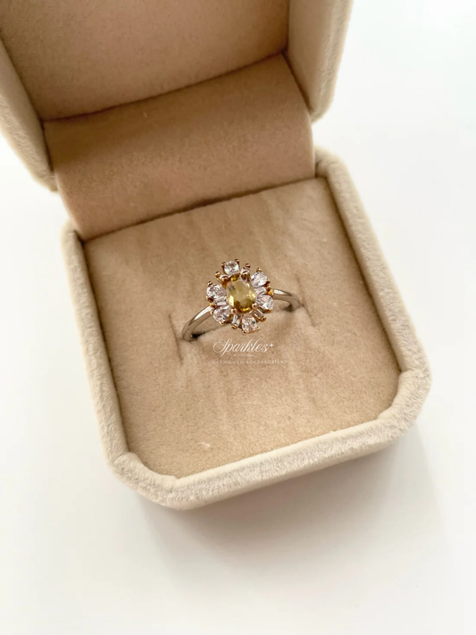 gemring17